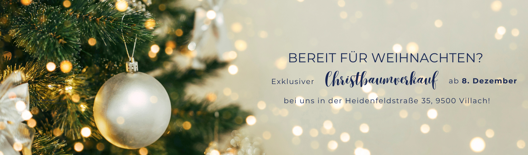 Weihnachtsbanner Website Tablet (1366 x 500 px)